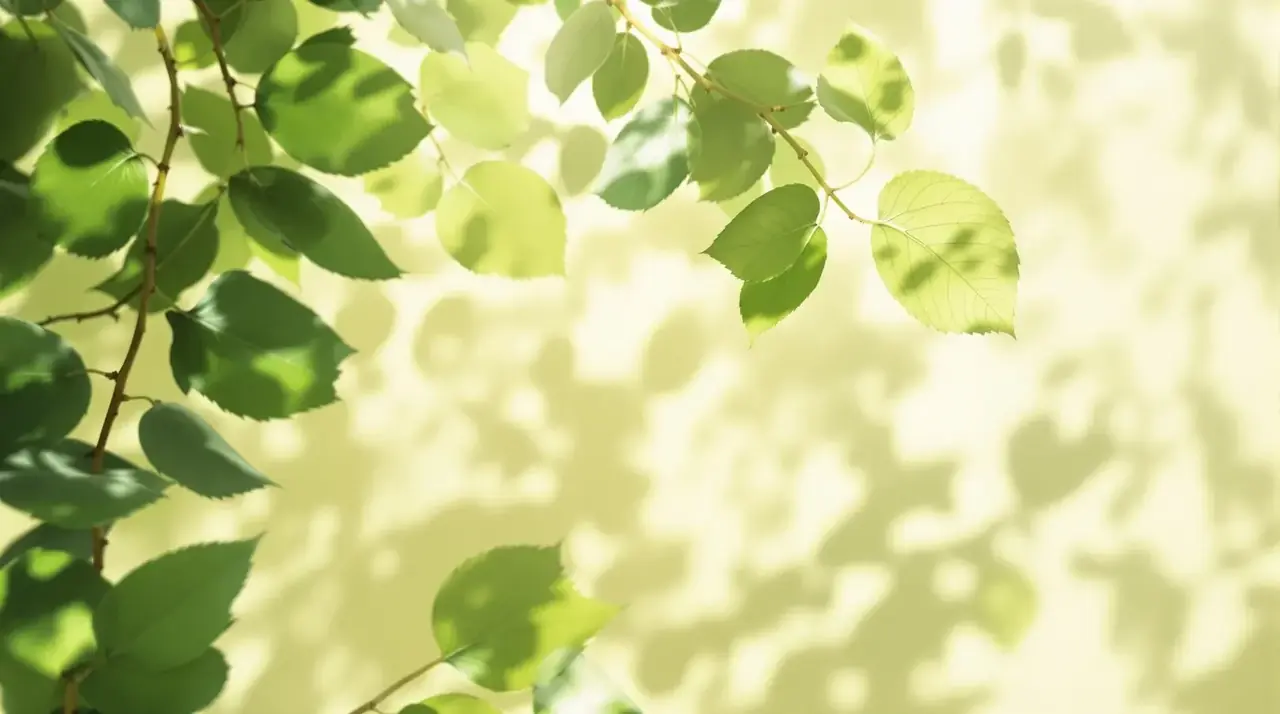 绿瓤影厅·夏梦放映 - 快活视频 绿瓤影厅·夏梦放映